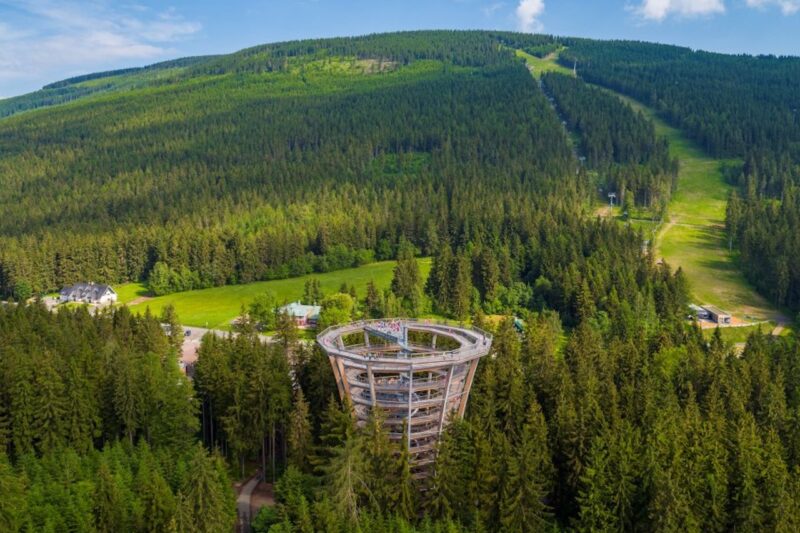 Oko w oko z królem karkonoskich lasów. Wielkie otwarcie zagrody dla niedźwiedzi już w kwietniu!